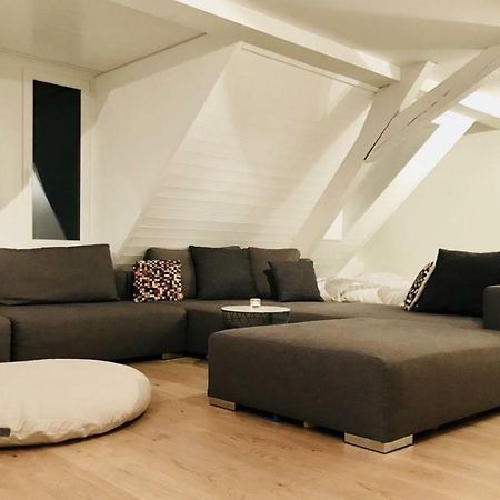Luxury Penthouse Apartment Zurigo Esterno foto