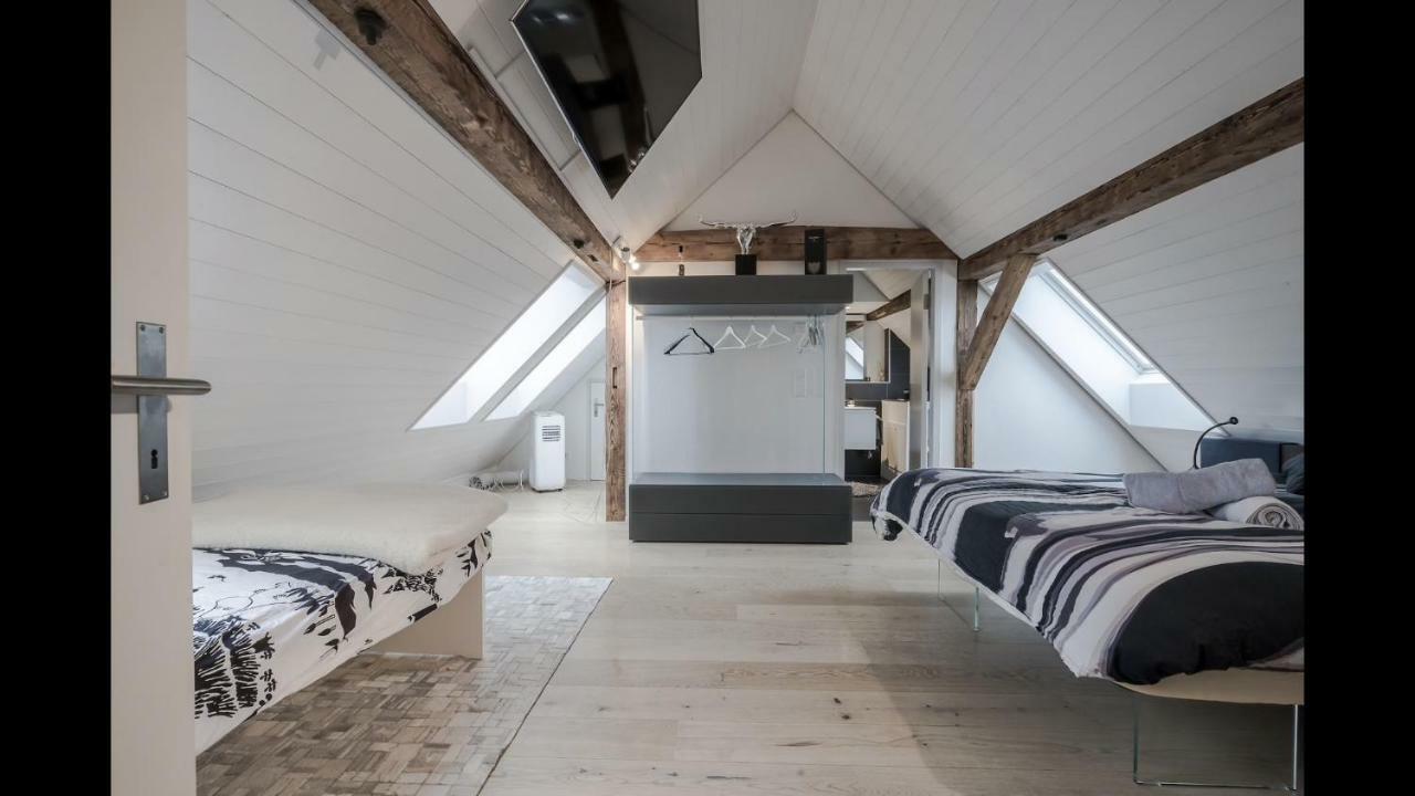 Luxury Penthouse Apartment Zurigo Esterno foto