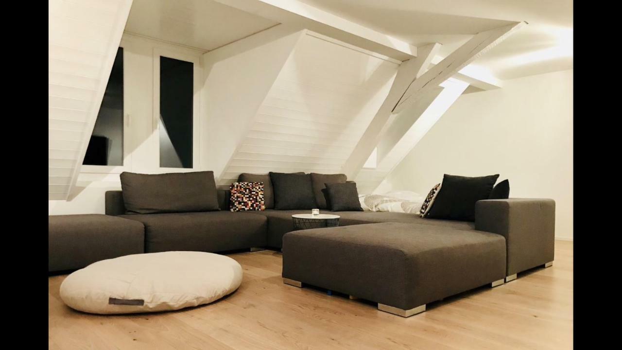 Luxury Penthouse Apartment Zurigo Esterno foto
