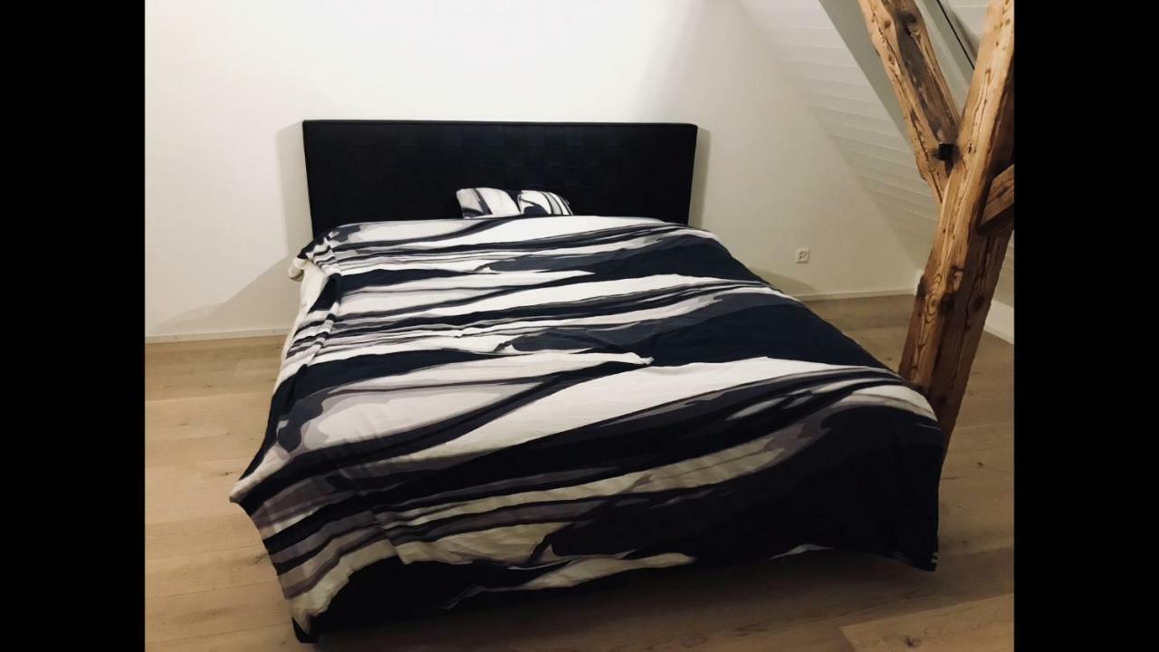 Luxury Penthouse Apartment Zurigo Esterno foto